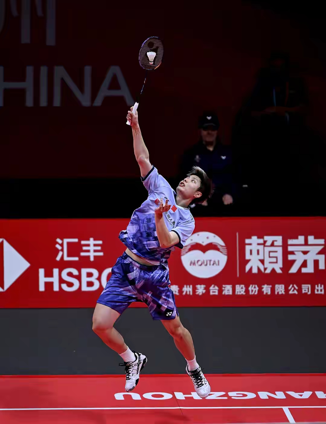 法国队轻取德国队，石宇奇惊艳四座的简单介绍