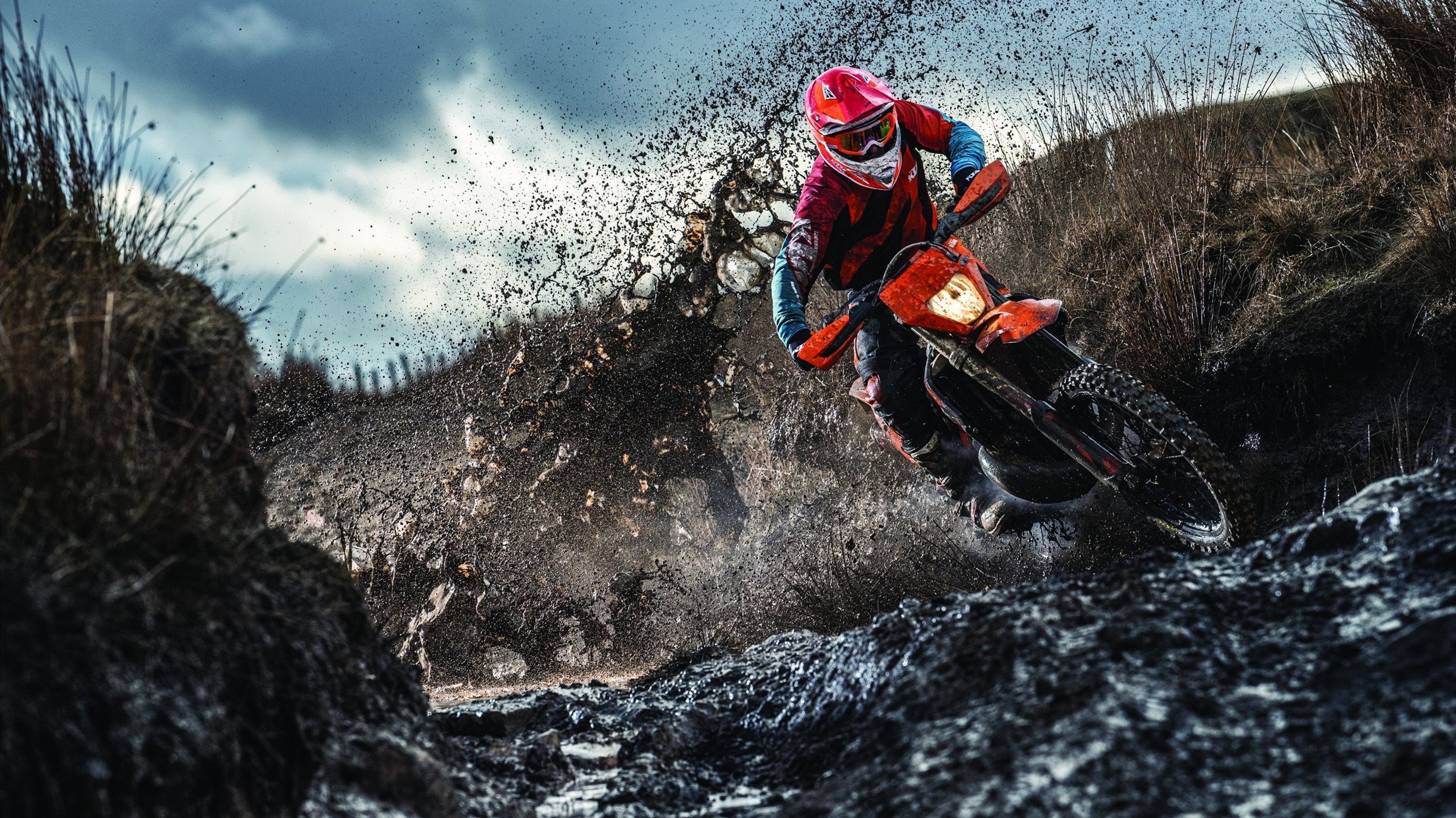 赛道上的逆袭，阿隆索率红牛二队鏖战索伯车队取胜